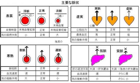 脈弦數